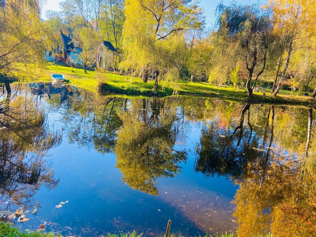 Viewtopia The Secret Land Valea Drăganului Buitenkant foto