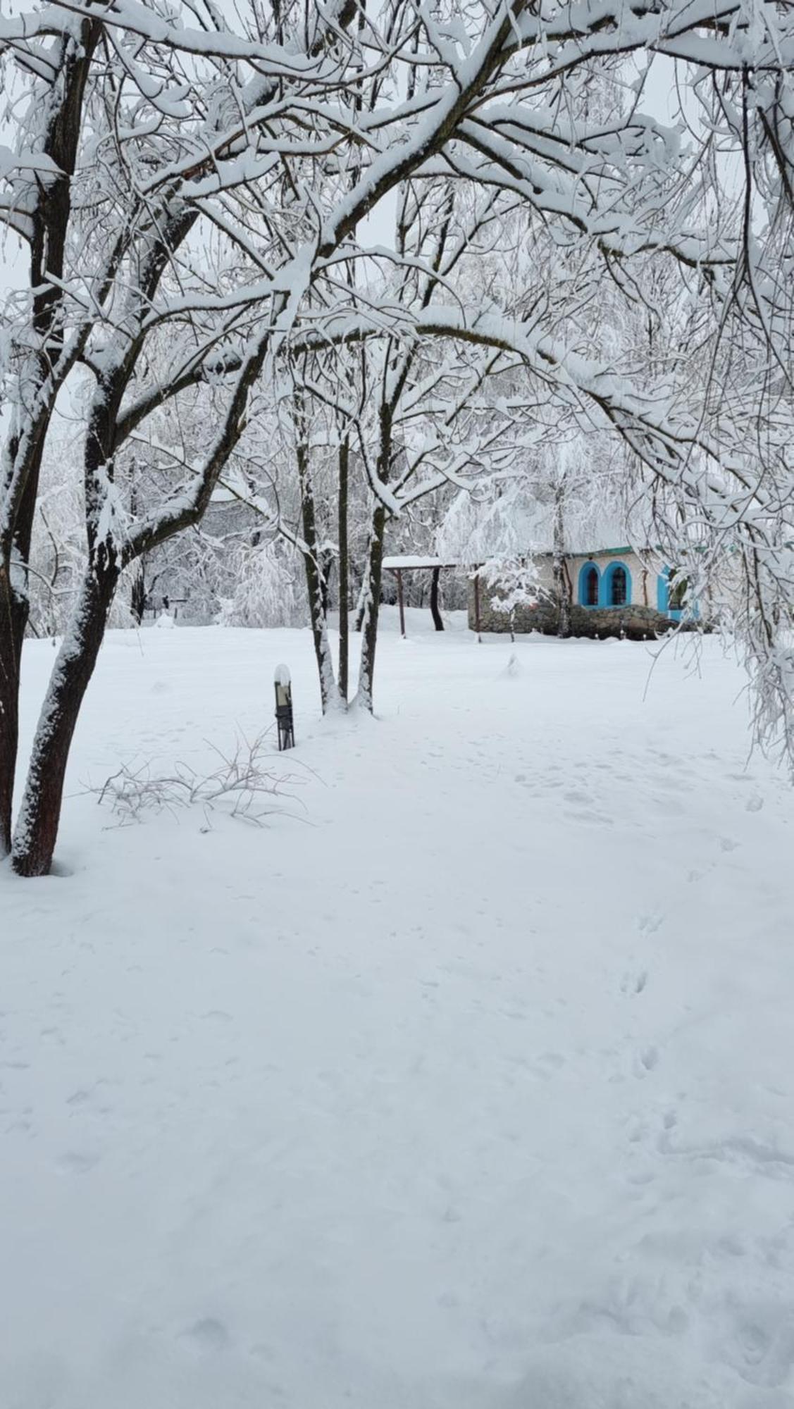 Viewtopia The Secret Land Valea Drăganului Buitenkant foto