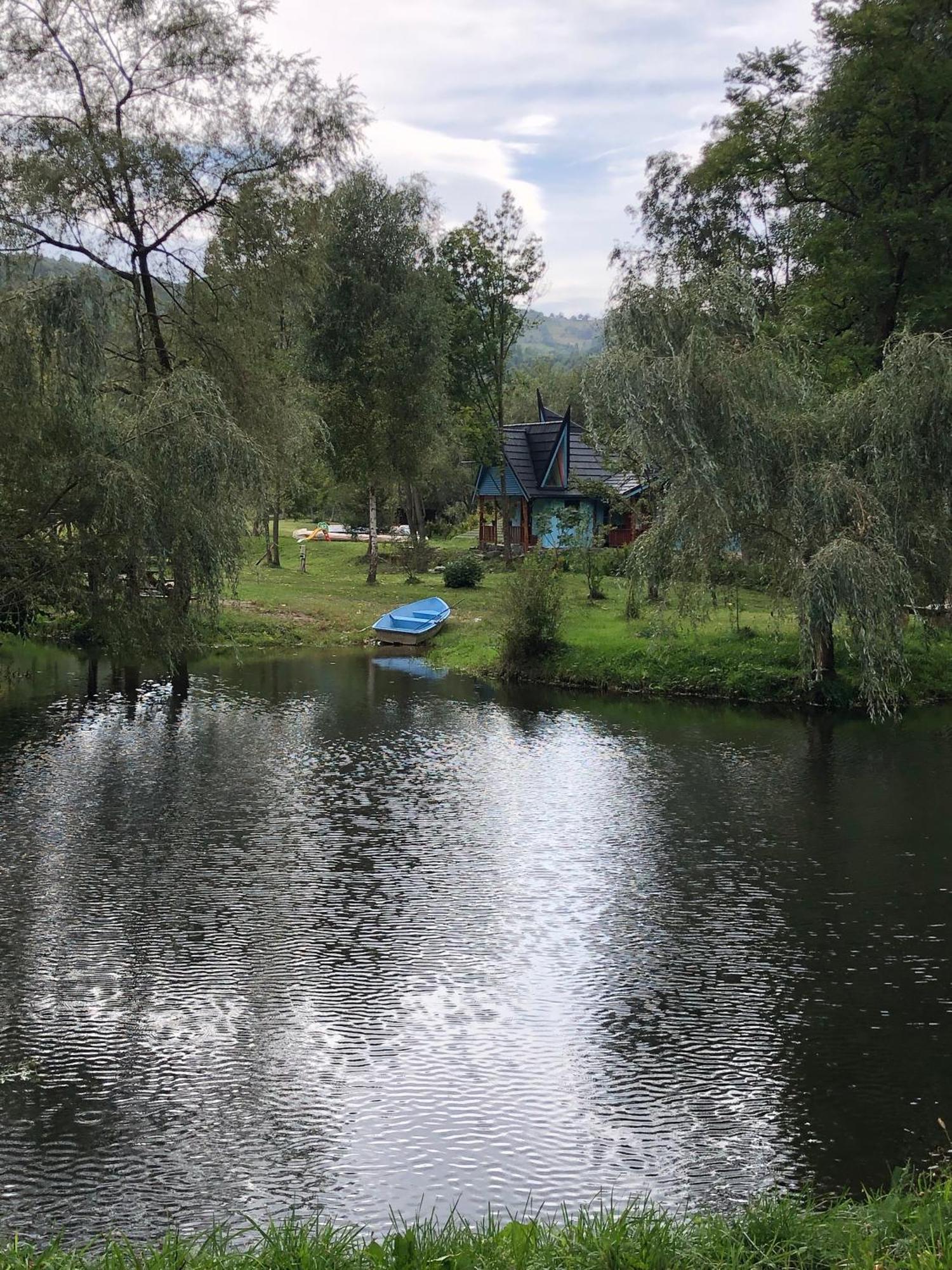 Viewtopia The Secret Land Valea Drăganului Buitenkant foto