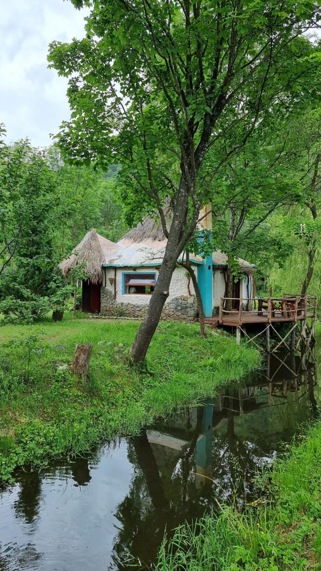 Viewtopia The Secret Land Valea Drăganului Buitenkant foto